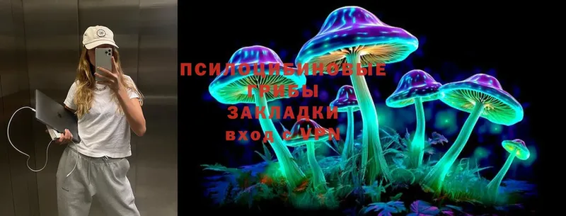 Галлюциногенные грибы Psilocybine cubensis  Губаха 